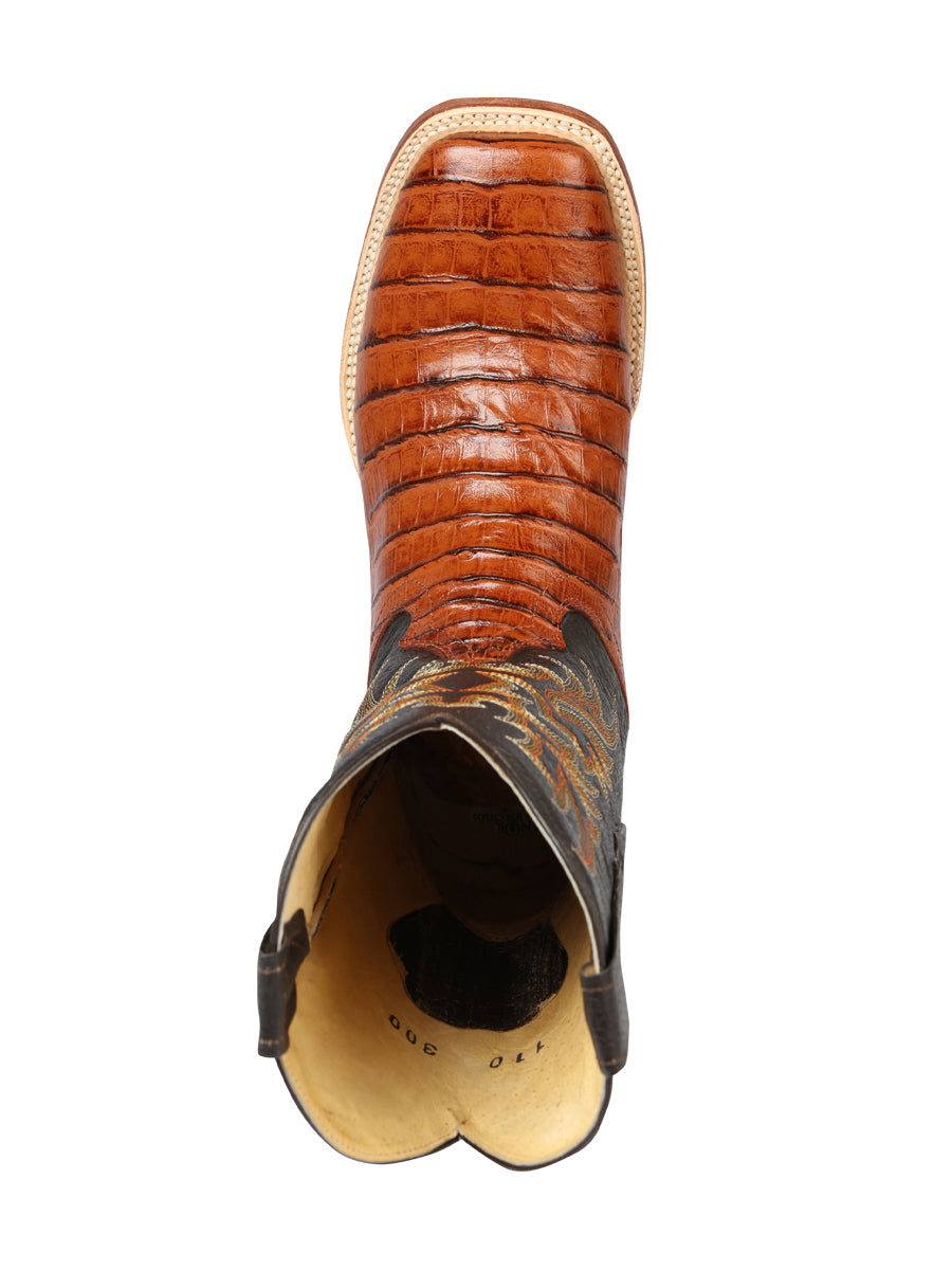 El General Rodeo - Printed Alligator leather boots - Cogñac 44939